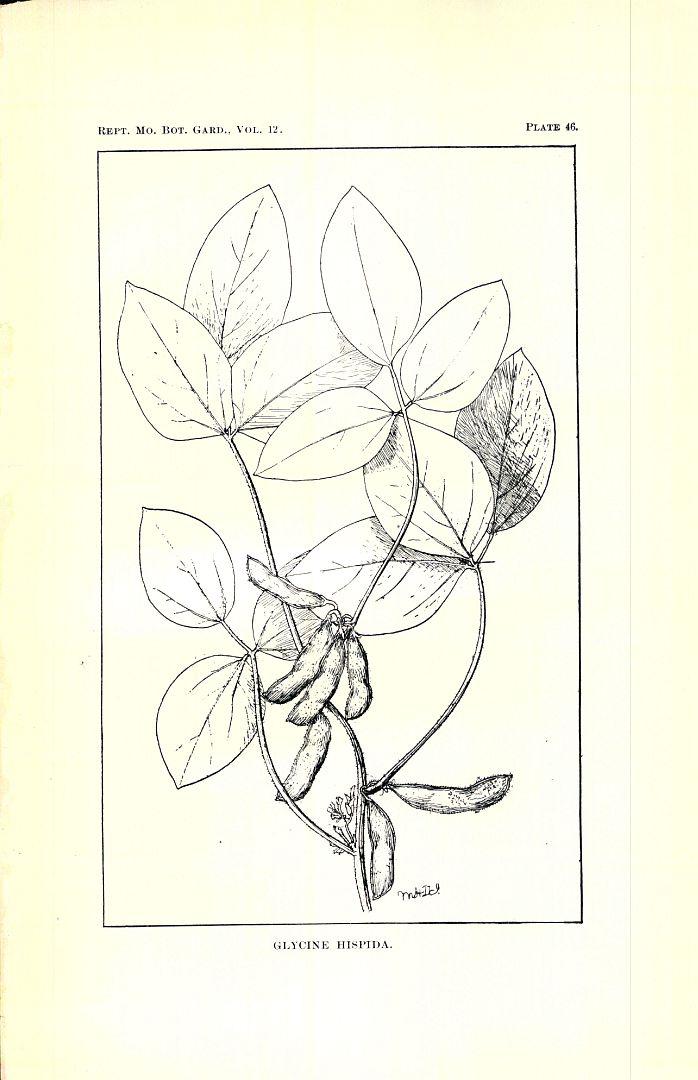 no HD illustration available (3)