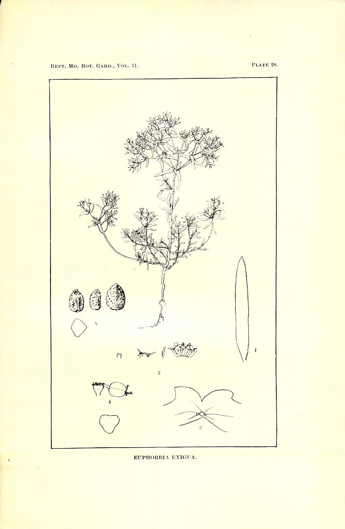 no HD illustration available (3)