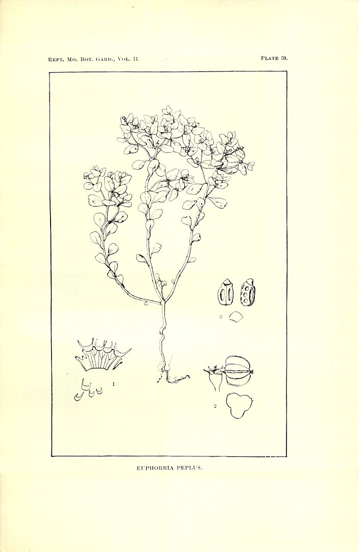 no HD illustration available (3)