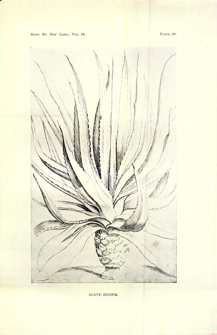 no HD illustration available (3)
