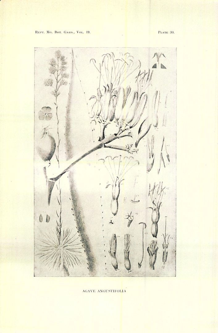no HD illustration available (3)