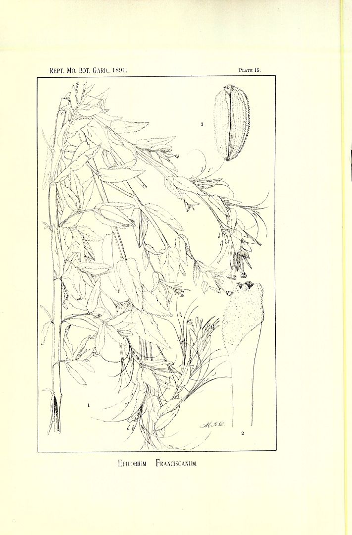 no HD illustration available (3)