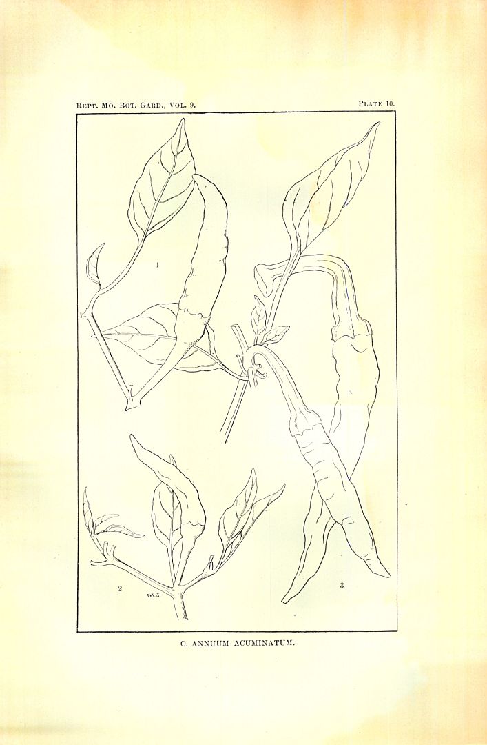 no HD illustration available (3)