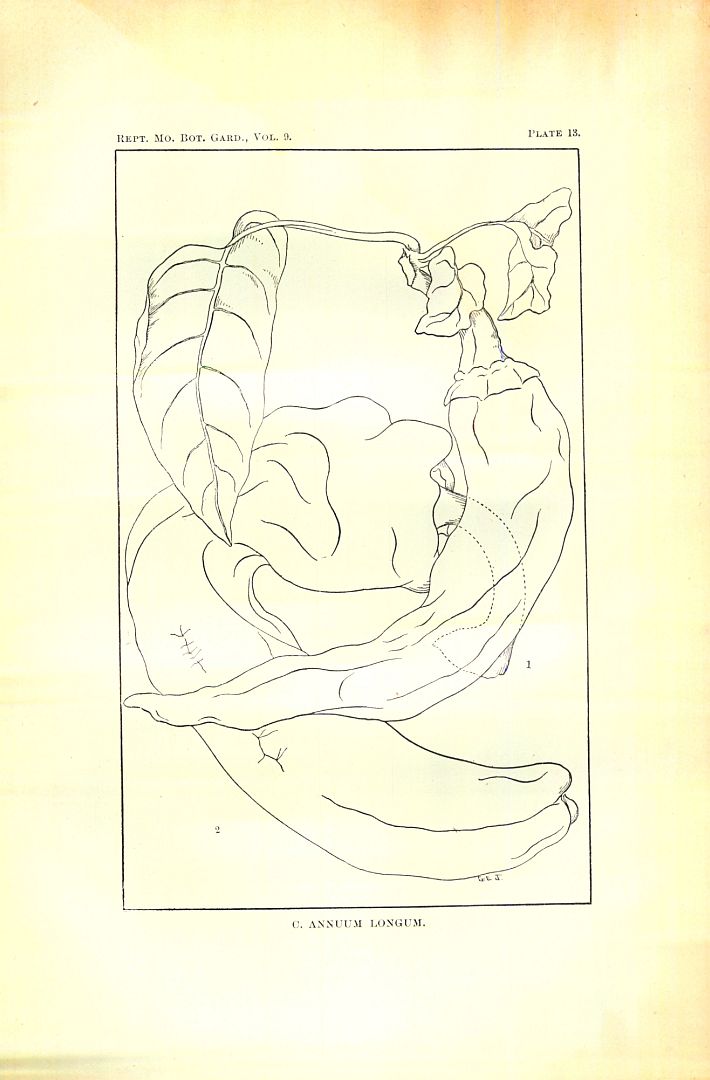no HD illustration available (3)