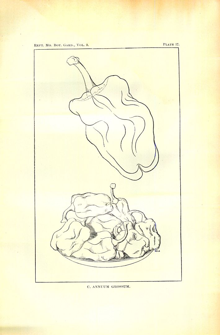 no HD illustration available (3)