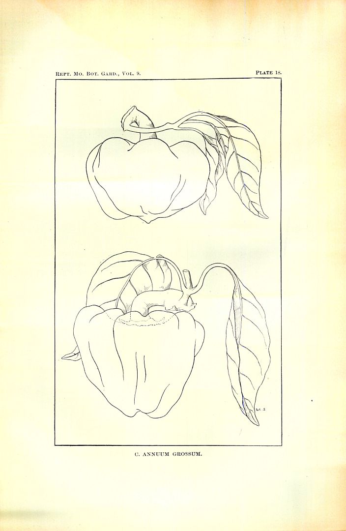 no HD illustration available (3)