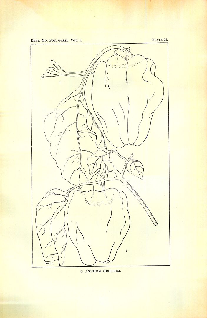 no HD illustration available (3)