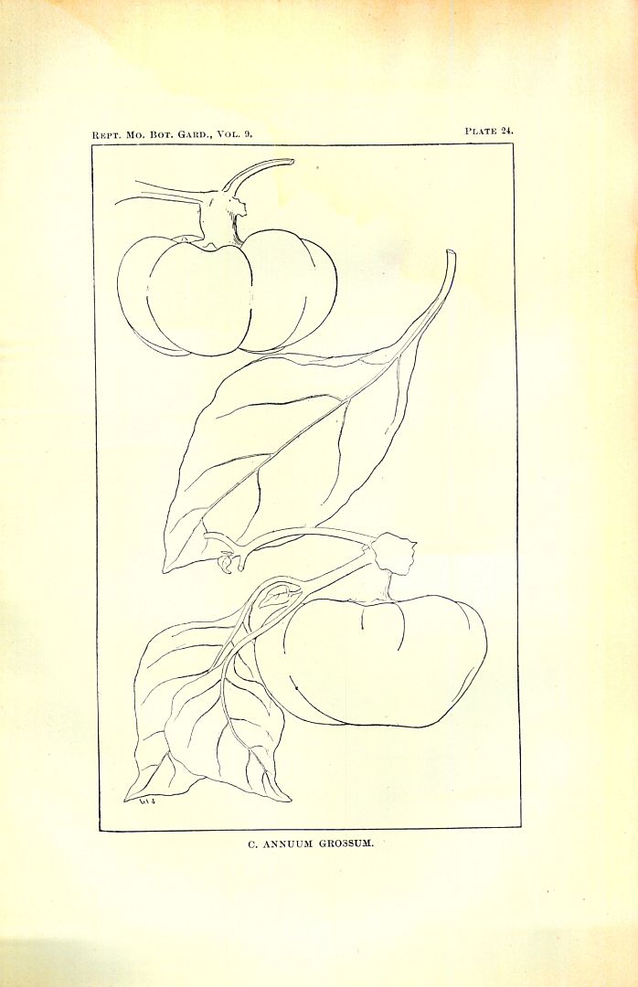 no HD illustration available (3)