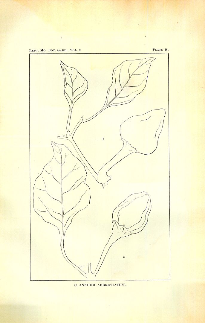 no HD illustration available (3)