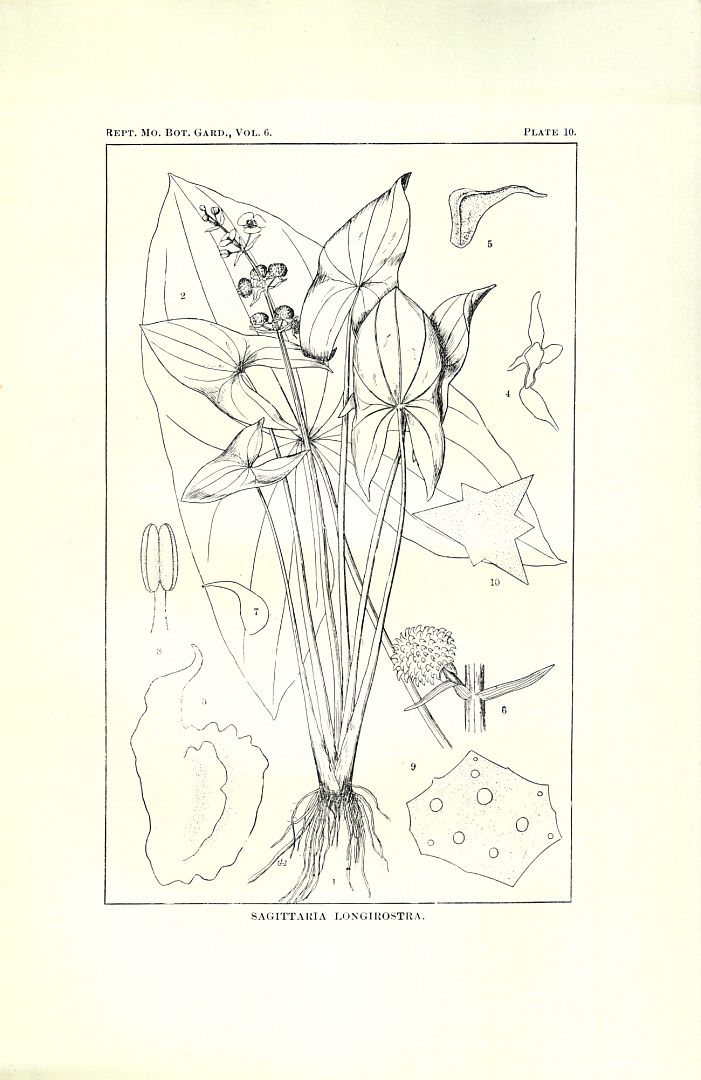 no HD illustration available (3)