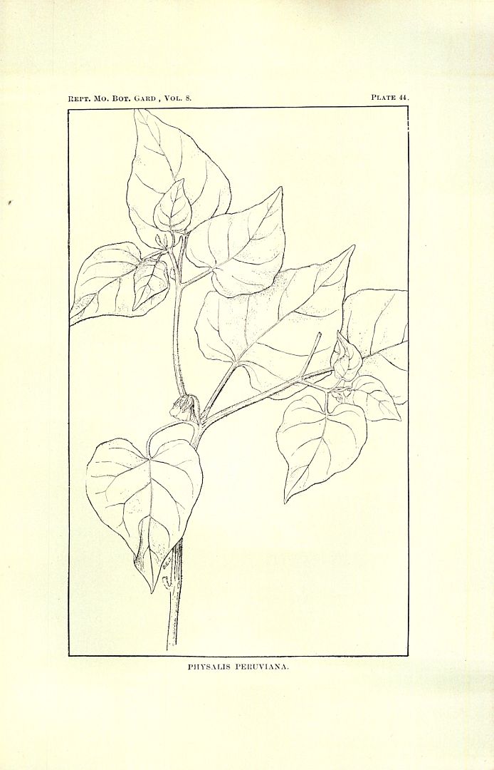 no HD illustration available (3)