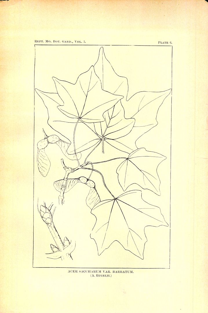 no HD illustration available (3)