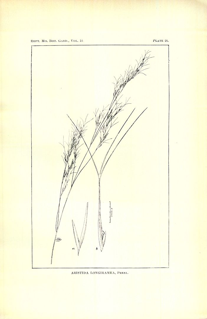 no HD illustration available (3)