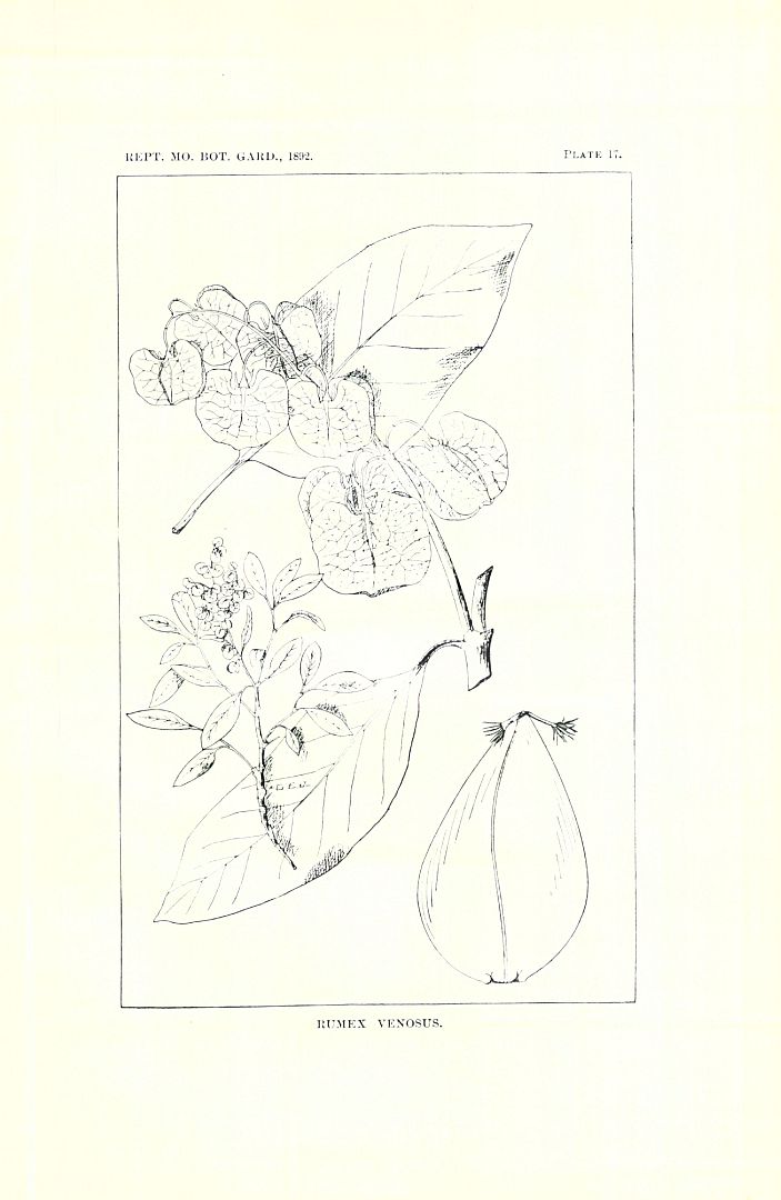no HD illustration available (3)