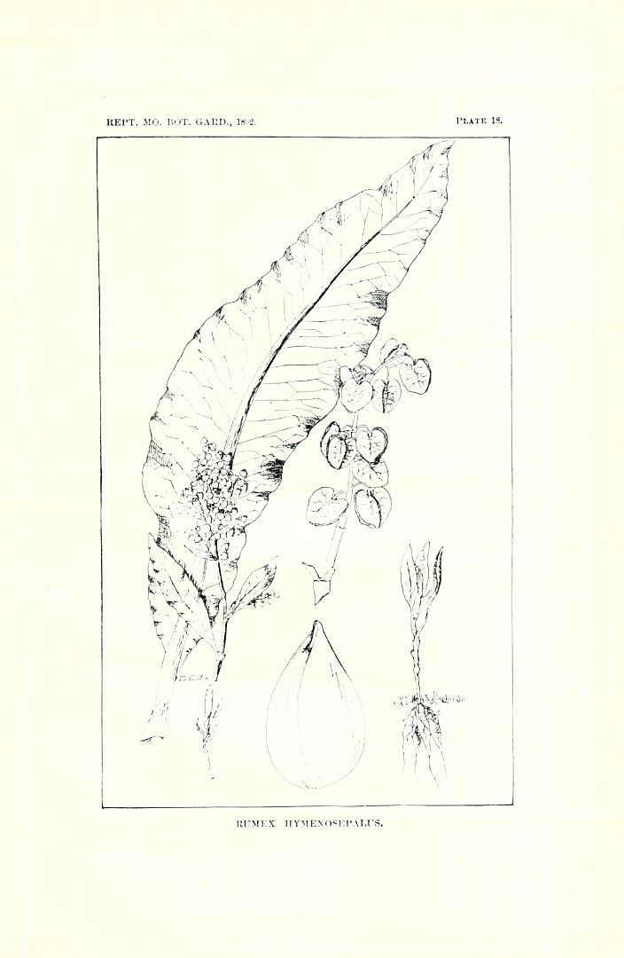 no HD illustration available (3)