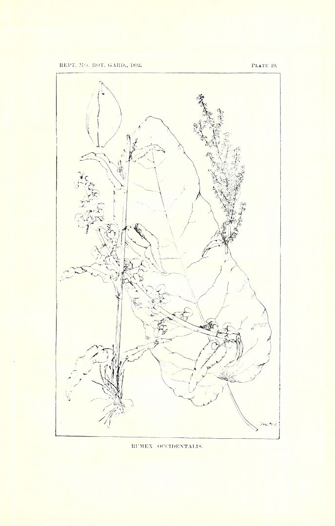 no HD illustration available (3)