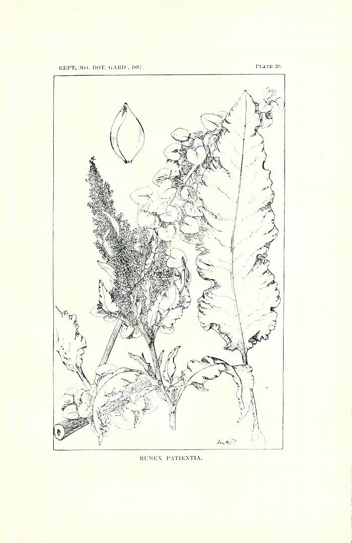 no HD illustration available (3)
