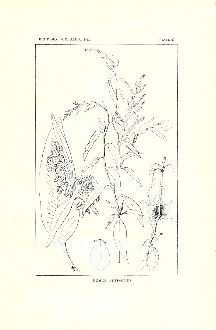 no HD illustration available (3)