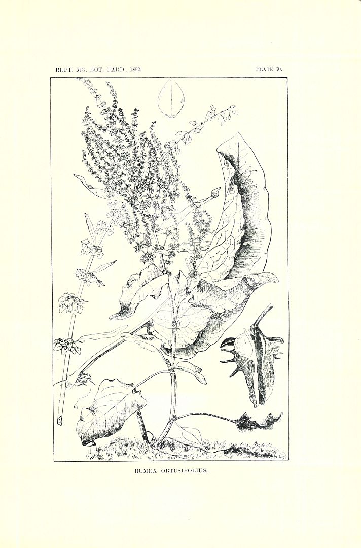 no HD illustration available (3)