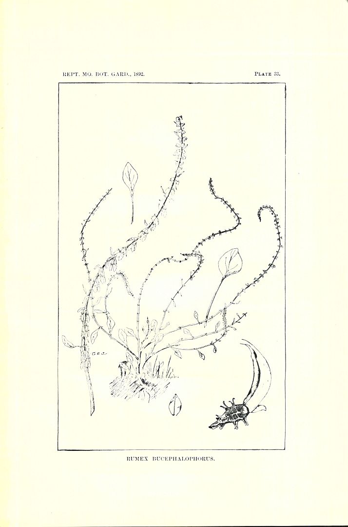 no HD illustration available (3)