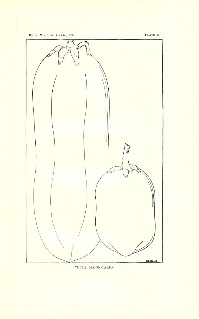 no HD illustration available (3)