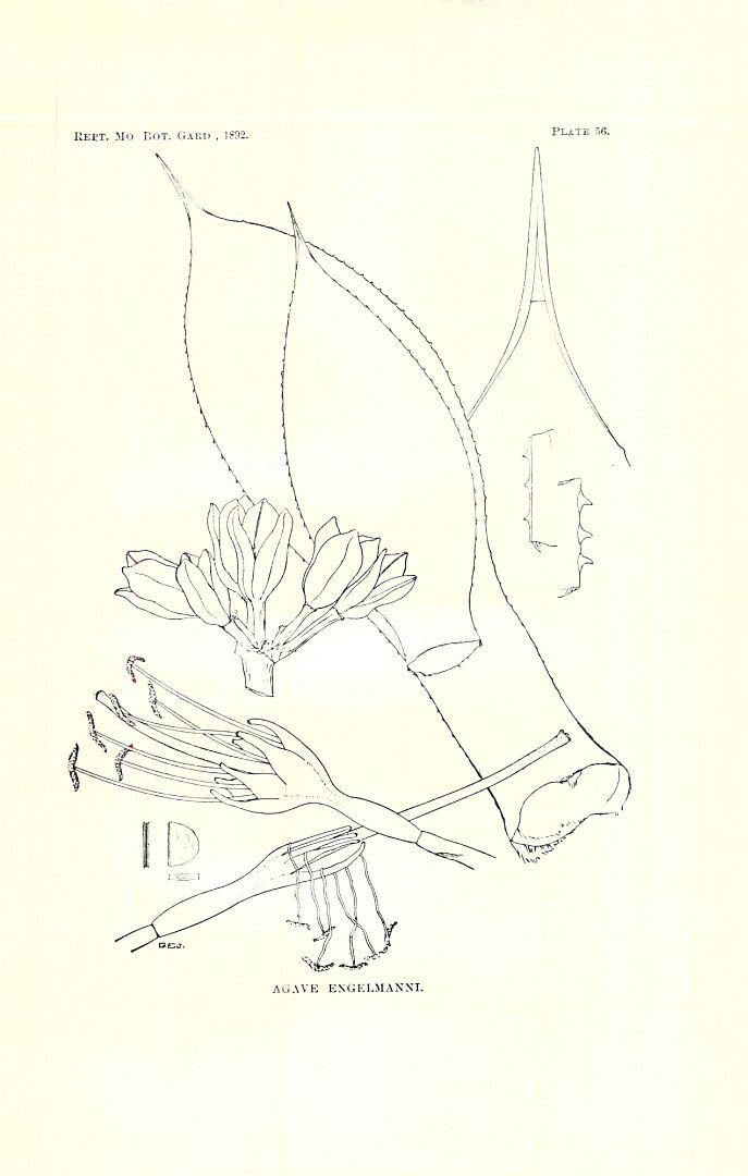 no HD illustration available (3)