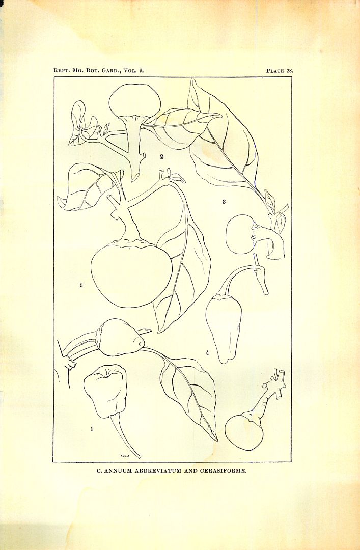 no HD illustration available (3)