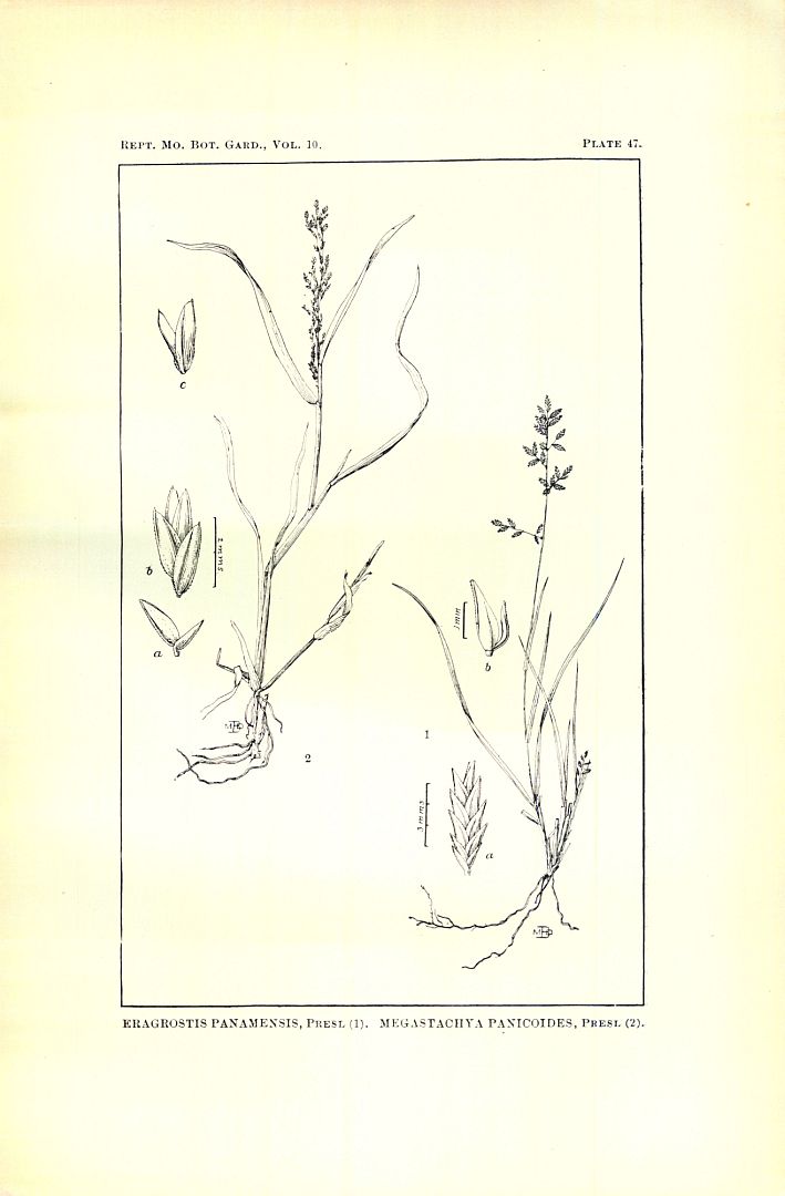 no HD illustration available (3)