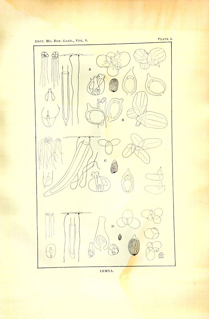 no HD illustration available (3)