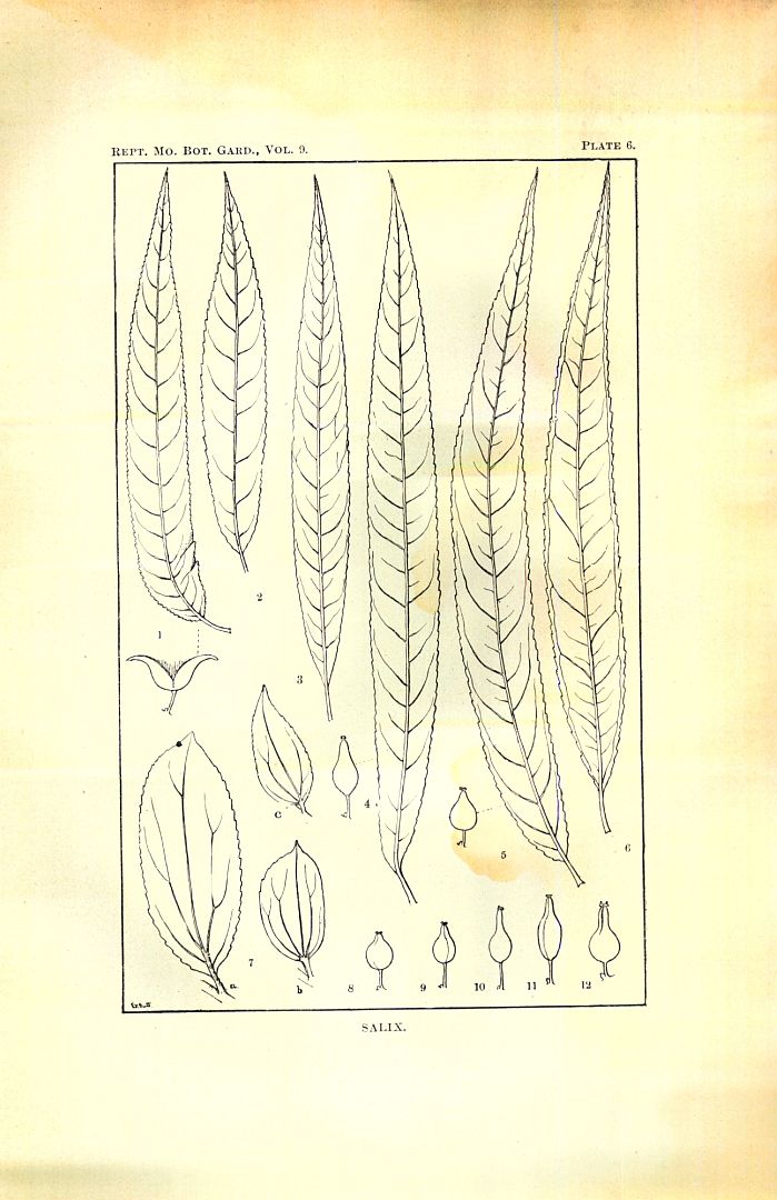 no HD illustration available (3)