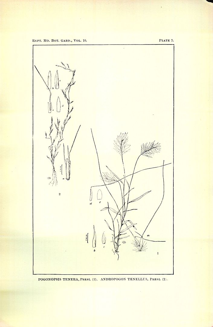no HD illustration available (3)