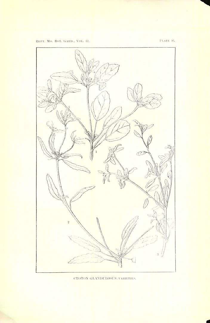 no HD illustration available (3)