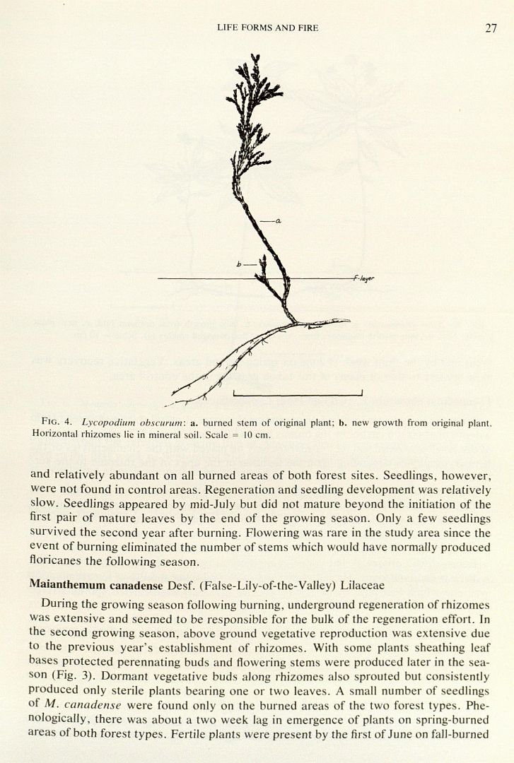 no HD illustration available (3)