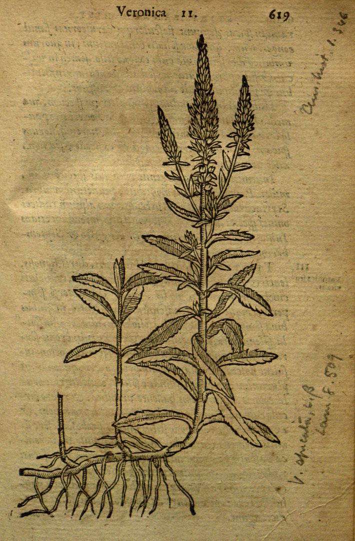 no HD illustration available (3)