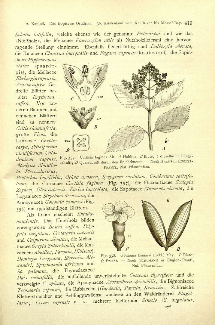 no HD illustration available (3)