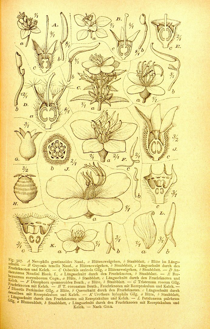 no HD illustration available (3)