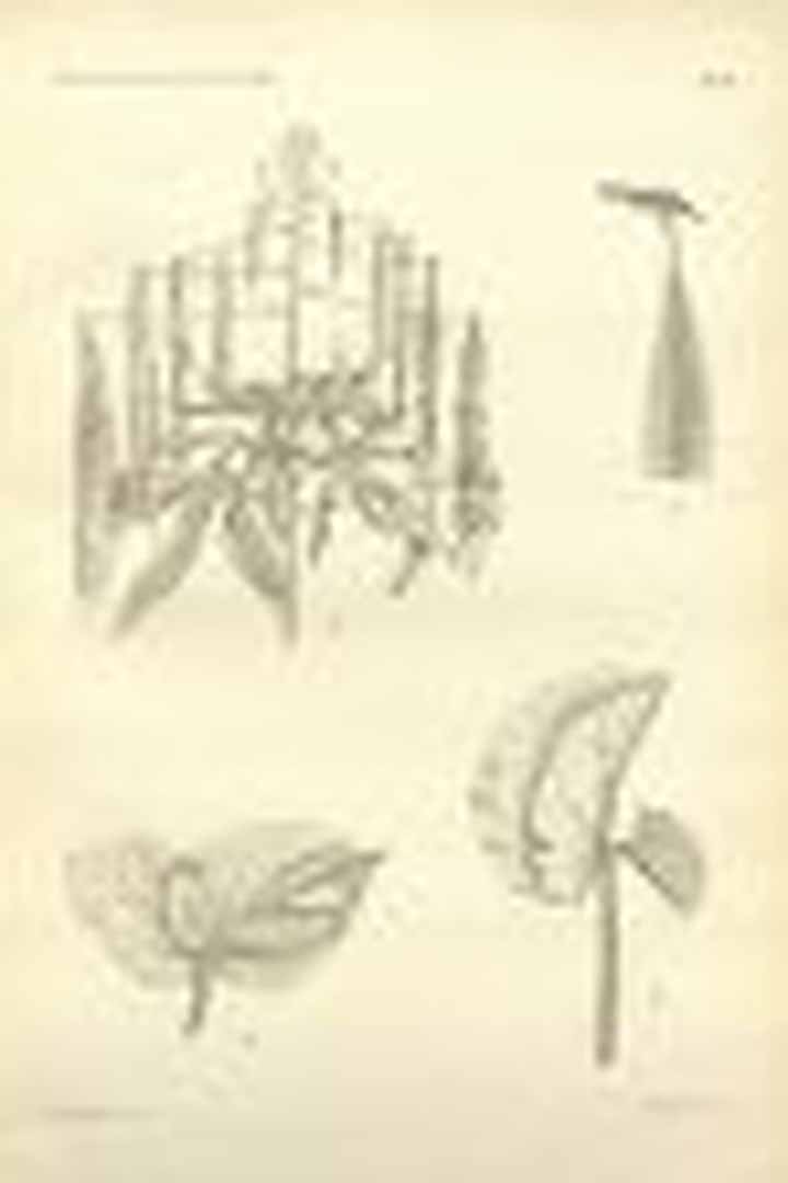 no HD illustration available (3)