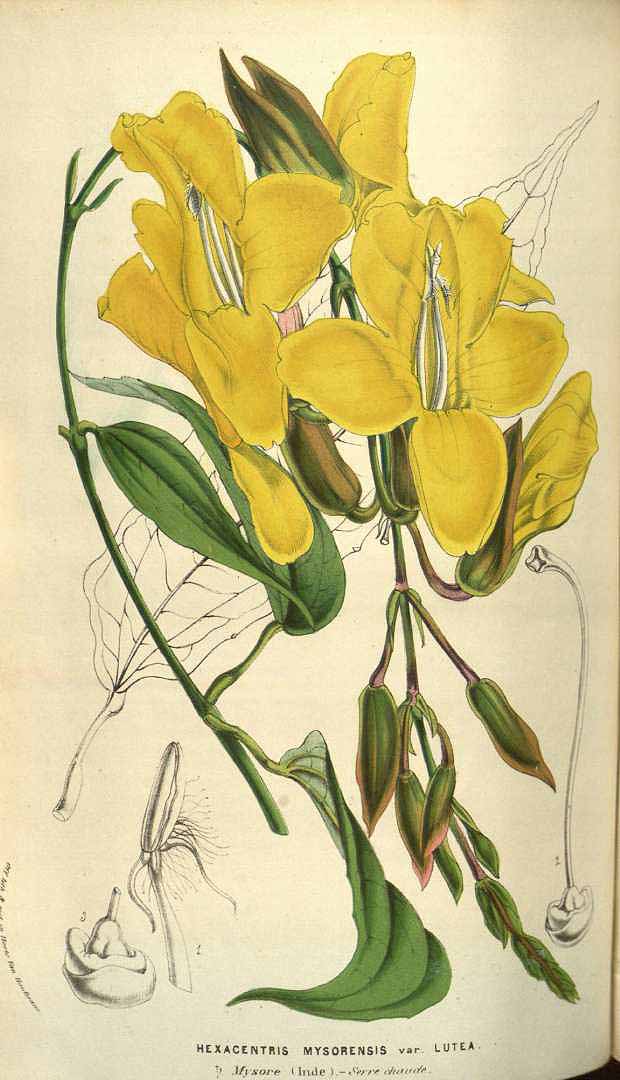 no HD illustration available (3)