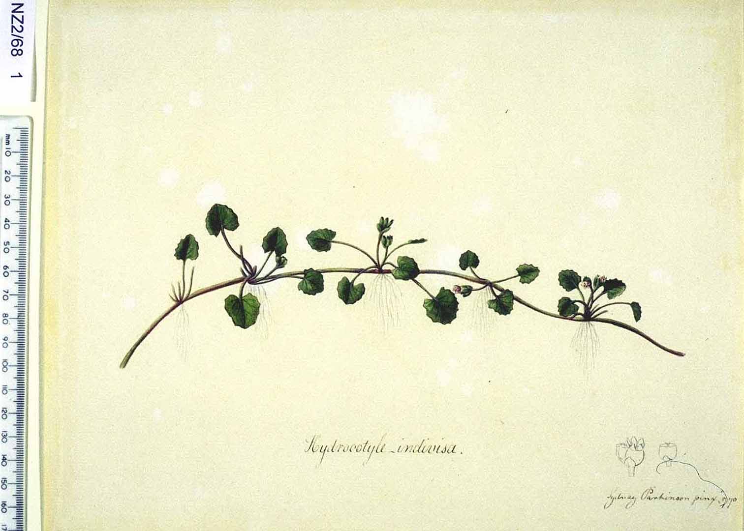 no HD illustration available (3)