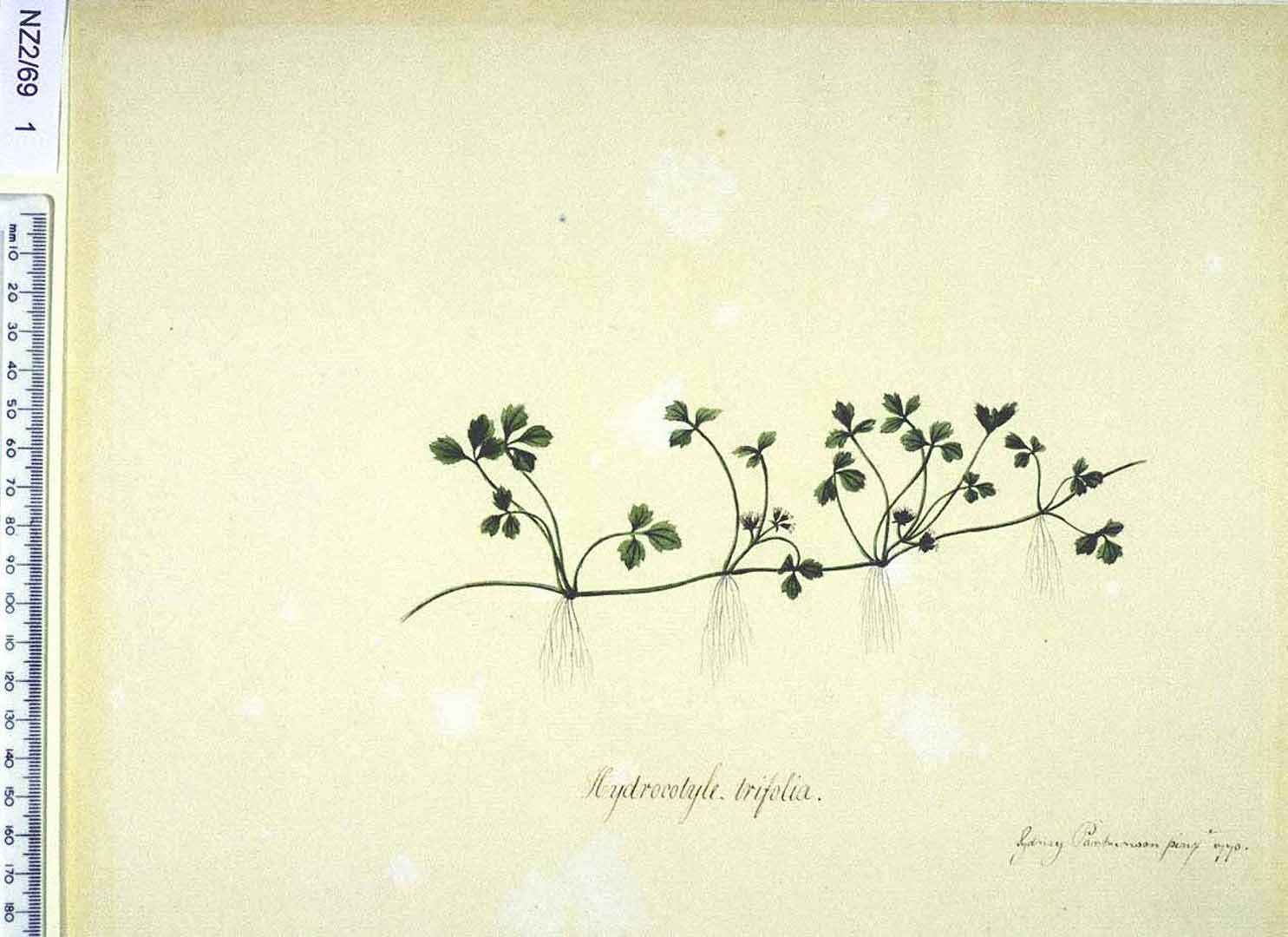 no HD illustration available (3)