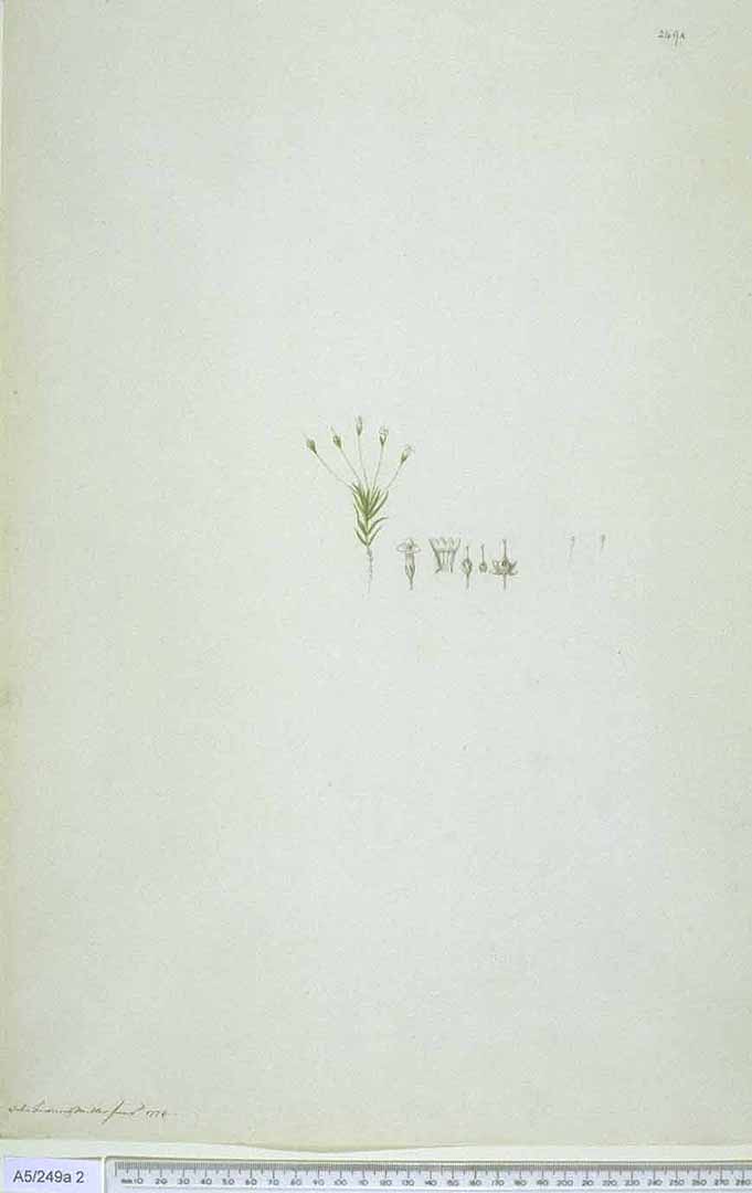no HD illustration available (m1)