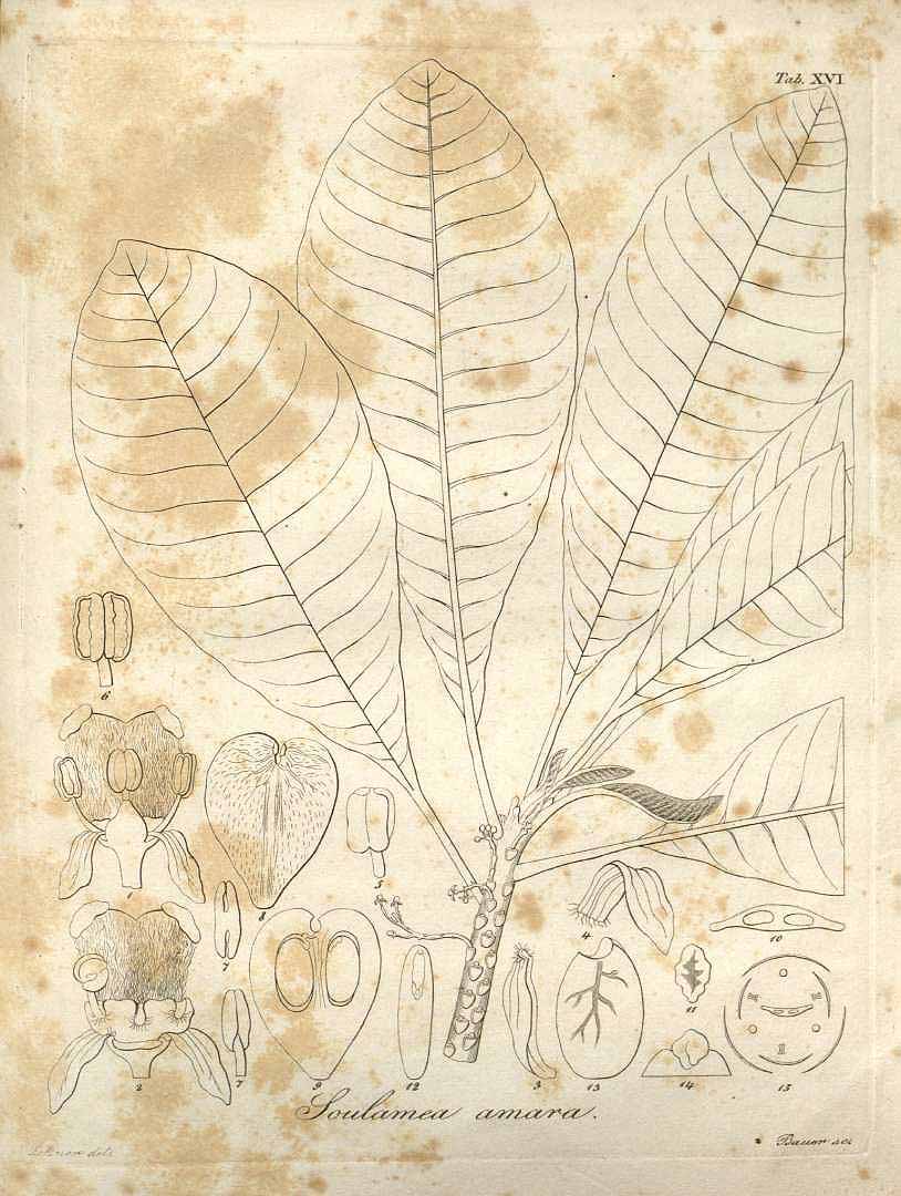 no HD illustration available (3)