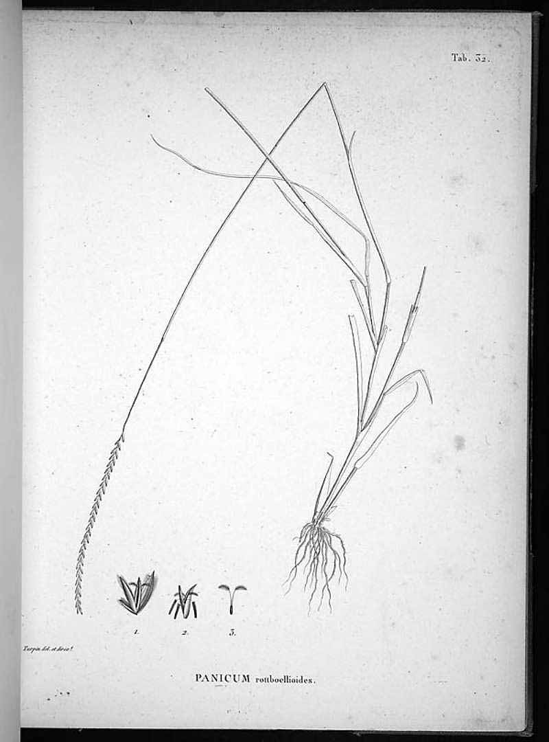 no HD illustration available (m1)