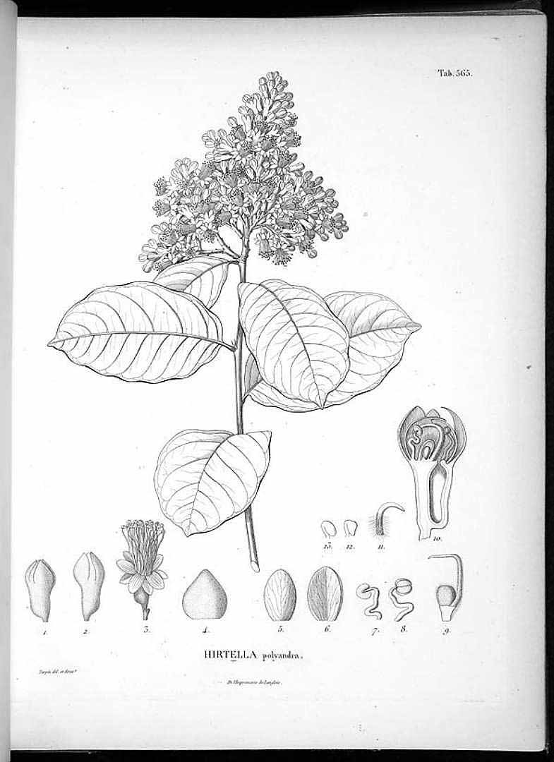 no HD illustration available (3)