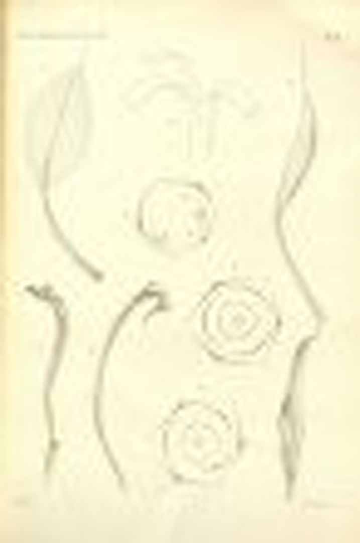 no HD illustration available (3)