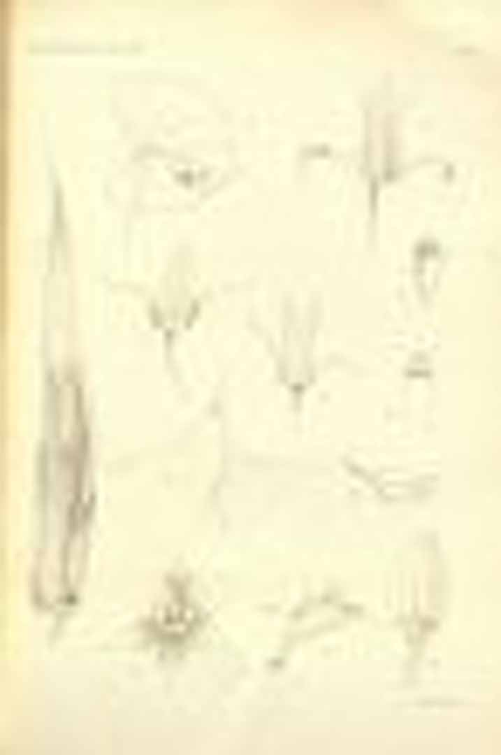 no HD illustration available (3)