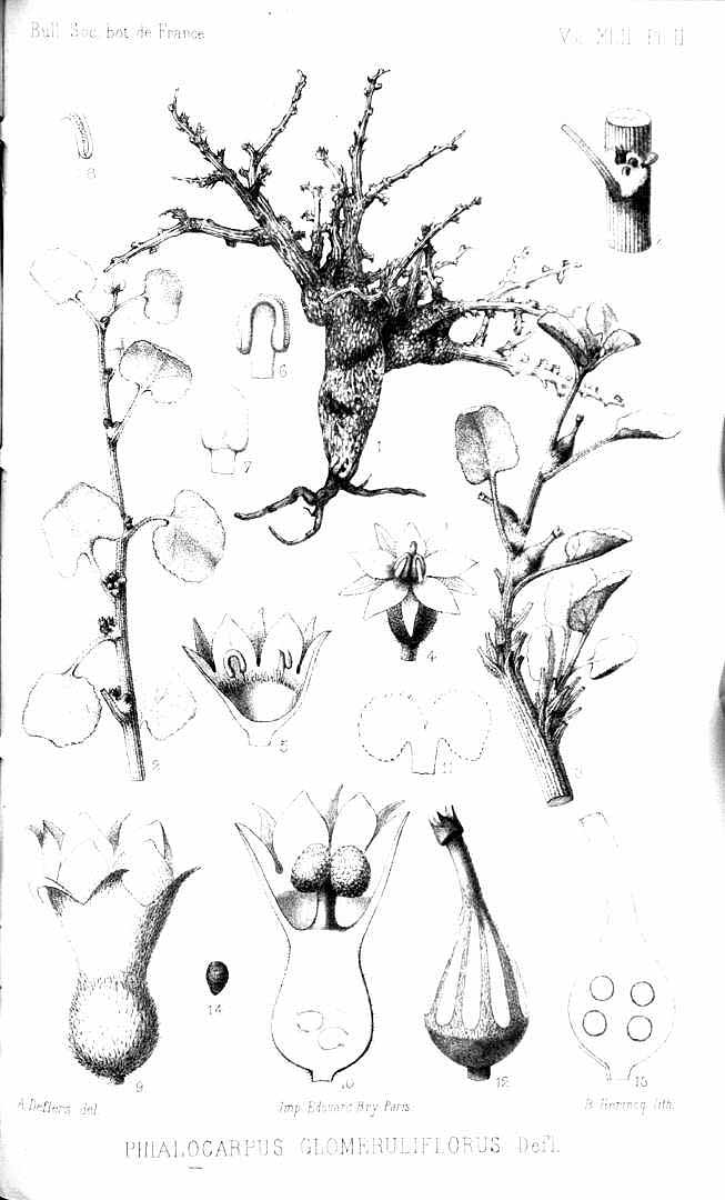 no HD illustration available (3)