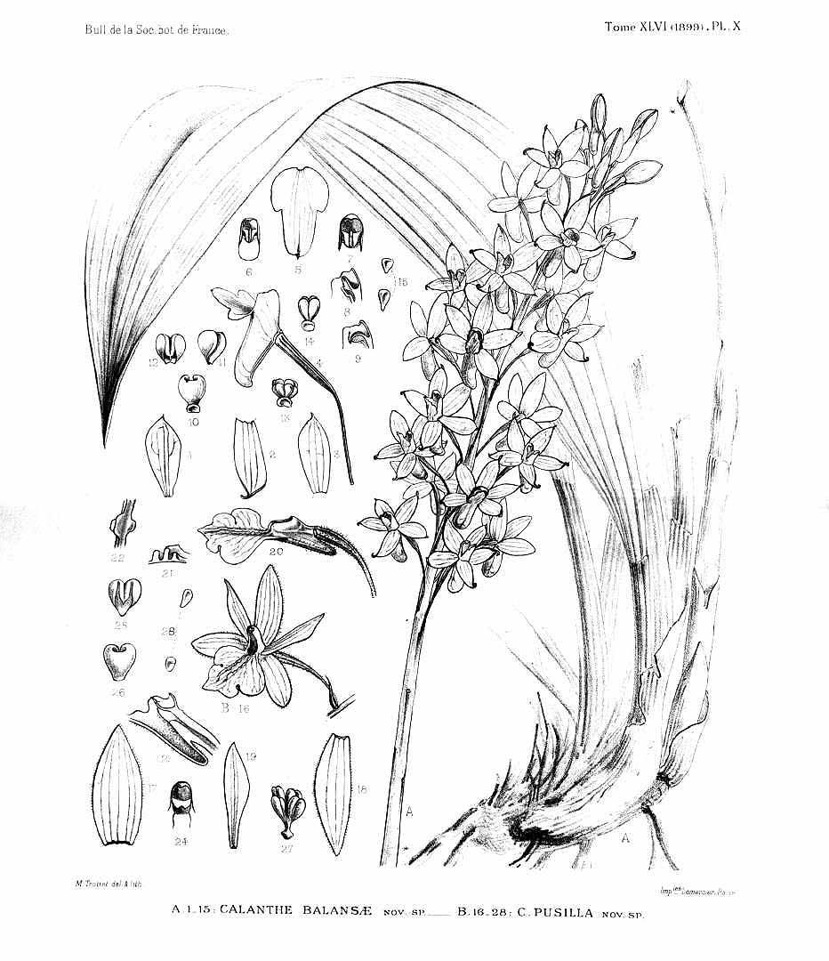 no HD illustration available (3)