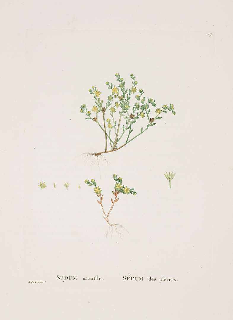 no HD illustration available (3)