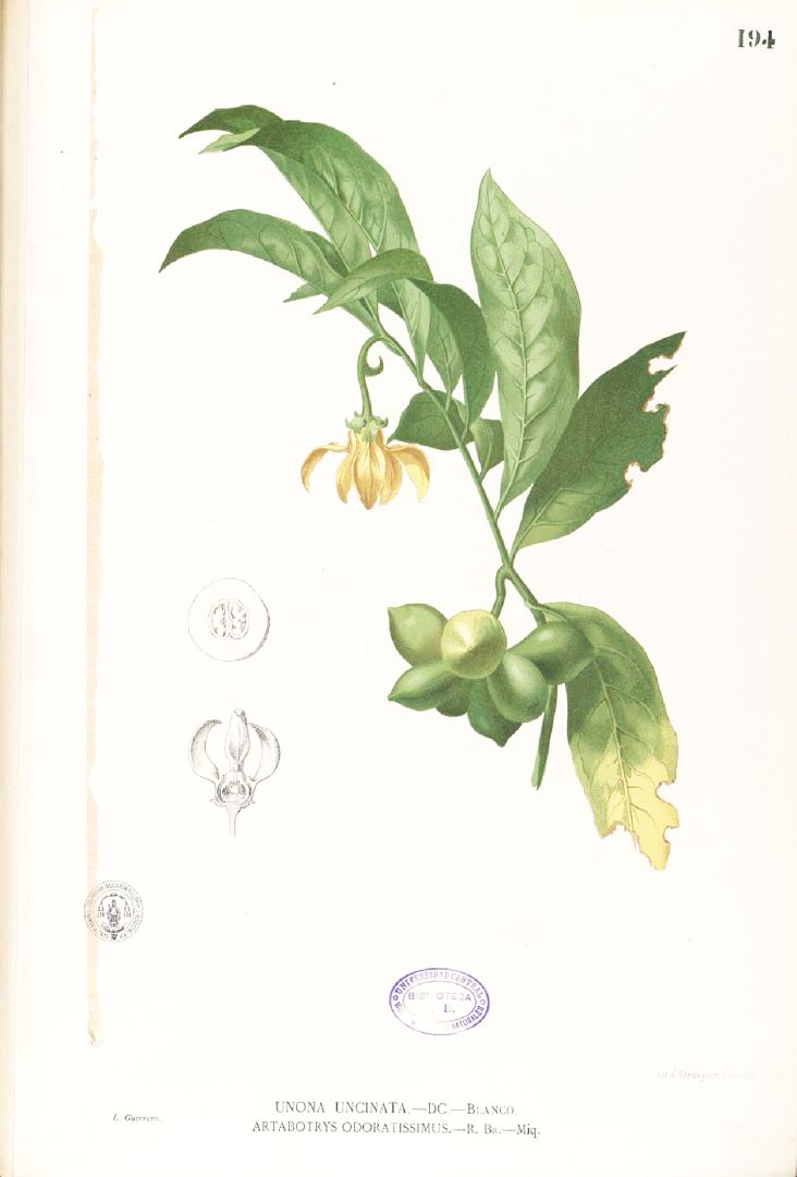 no HD illustration available (3)